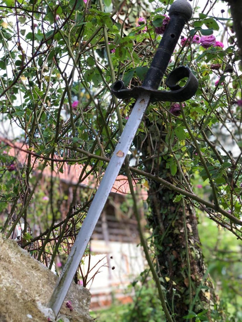 Edenski Vrt Ivancna Gorica Ngoại thất bức ảnh